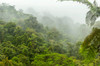 Costa Rica, La Paz River Valley, La Paz Waterfall Garden Fog over rainforest Credit as: Cathy & Gordon Illg / Jaynes Gallery Poster Print by Jaynes Gallery (24 x 18) # SA22BJY0147