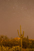 USA, Arizona, Sabino Canyon Recreation Area Saguaro cactus and stars at night Credit as: Cathy & Gordon Illg / Jaynes Gallery Poster Print by Jaynes Gallery (18 x 24) # US32BJY0475