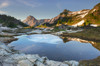 Partially thawed tarn, Yellow Aster Butte Basin American Border Peak is in the distance Mount Baker Wilderness, North Cascades, Washington State Poster Print by Alan Majchrowicz (24 x 18) # US48AMA0141