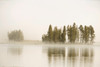 USA, Wyoming, Yellowstone National Park Morning fog along the Yellowstone River in Yellowstone National Park Credit as: Don Grall / Jaynes Gallery Poster Print by Jaynes Gallery (24 x 18) # US51BJY0272