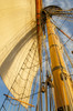 Mast rigging and sails of Hawaiian Chieftain, a Square Topsail Ketch Owned and operated by the Grays Harbor Historical Seaport, Aberdeen, Washington State Poster Print by Alan Majchrowicz (18 x 24) # US48AMA0127