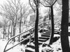 Jerome Snowy Stairs II BandW Poster Print by Popcorn Popcorn # WJTPHO00045