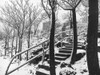 Jerome Snowy Stairs III BandW Poster Print by Popcorn Popcorn # WJTPHO00046