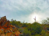 Desert Scape 14 Poster Print by William Tenoever # WJTLAN00081