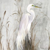 Heron in the Reeds Poster Print by Aimee Wilson # WL409A