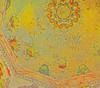Mission Ceiling I Poster Print by Popcorn Popcorn # WJTABS00042