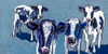 Four Cows Poster Print by Kathryn Wronski # W1083D