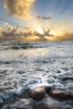 Crash Poster Print by Celebrate Life Gallery Celebrate Life Gallery # VDP128