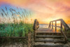 Walk Into Sunrise Poster Print by Celebrate Life Gallery Celebrate Life Gallery # VDP130