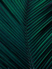Shade II Poster Print by Urban Road Urban Road # UR534