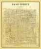 Hale County Texas - 1895 Poster Print by Unknown Unknown # TXHA0005