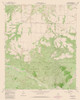 Cee Vee Texas Quad - USGS 1981 Poster Print by USGS USGS # TXCV0001