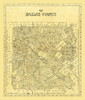 Dallas County Texas Poster Print by Unknown Unknown # TXDA0029