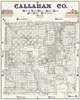 Callahan County Texas - Sadler 1869 Poster Print by Sadler Sadler # TXCA0013
