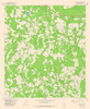 South West Bastrop Quad - USGS 1982 Poster Print by USGS USGS # TXBA0006