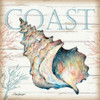 Coast Shell Poster Print by Todd Williams # TWM404