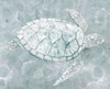 Sea Turtle�_ Poster Print by Stellar Design Studio Stellar Design Studio  # TV042A