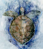 Swimming Sea Turtle�_ Poster Print by Stellar Design Studio Stellar Design Studio  # TV033A