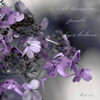 Plum Foliage Believe Poster Print by Tracey Telik # TKSQ050A2