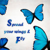 Spread Your Wings Poster Print by Tracey Telik # TK5SQ003