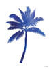 Blue Palm Tree III Poster Print by Seven Trees Design Seven Trees Design # ST748