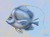 Blue Fish 2 Poster Print by Stellar Design Studio Stellar Design Studio # SDS349