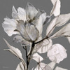 Floral in Gray 2 Poster Print by Stellar Design Studio Stellar Design Studio # SDS271