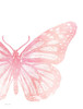 Pink Butterfly IV Poster Print by Susan Ball # SB845