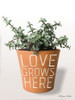 Succulent Love Grows Here Poster Print by Susan Ball # SB751