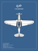 BP P-40 Warhawk  Poster Print by Mark Rogan # RGN114943