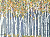 Birch Trees Poster Print by Roey Ebert # REAR334