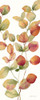 Fall Botanical Panel I Poster Print by Cynthia Coulter # RB14592CC