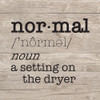 Laundry Room Humor II-Normal Poster Print by Tara Reed # RB14506TR