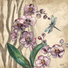 Boho Orchid and Dragonfly I Poster Print by Tre Sorelle Studios Tre Sorelle Studios # RB14439TS