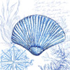 Coastal Sketchbook-Clam Shell  Poster Print by Tre Sorelle Studios Tre Sorelle Studios # RB13848TS