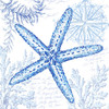 Coastal Sketchbook-Starfish  Poster Print by Tre Sorelle Studios Tre Sorelle Studios # RB13852TS