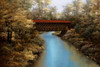 Covered Bridge Poster Print by Diane Romanello # R755D