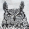 Portrait of an Owl Poster Print by Marie Elaine Cusson # RB14899MC Portrait of an Owl Poster Print by Marie Elaine Cusson # RB14899MC