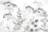 Botanical Landscape neutral Poster Print by Cynthia Coulter # RB14792CC