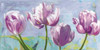 Lilac Tulips Poster Print by Robin Sadler # RBS6718