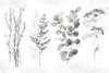 Indigo Botanicals landscape neutral Poster Print by Cynthia Coulter # RB14797CC