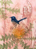 Little Blue Wren Poster Print by Trudy Rice # R1367D