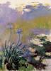 Les agapanthes Poster Print by Claude Monet # R2804