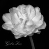 God is Love Poster Print by Dianne Poinski # QPDSQ11422B
