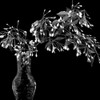 White Tree Flowers Poster Print by George Johnson # PSJSN331