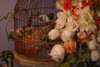 Flowers and Bird Cage II Poster Print by Rita Crane # PSCRN471
