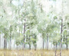 Into the Forest Light Poster Print by Allison Pearce # PS349A