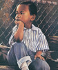 By the Fence Poster Print by Unknown Unknown # POL002