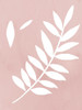 Blush Fern Poster Print by PI Juvenile PI Juvenile # PJ009A