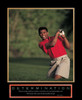Determination - Golfer Poster Print by Unknown Unknown # PE101757